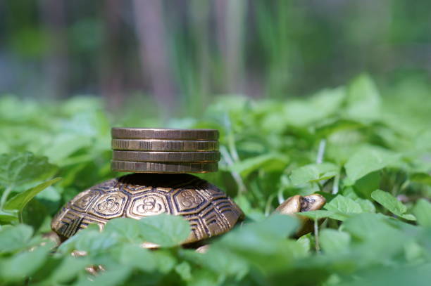 istock A metal turtle figurine in the green grass. 1339813681