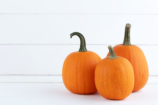 Three pumpkins of the same kind on white wooden background with copy space for text