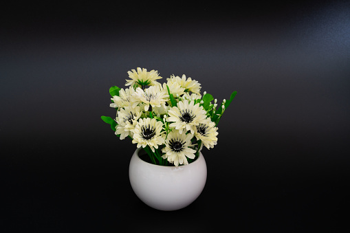 wildflowers in white jug on white background