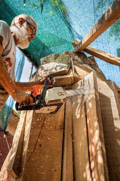 istock Senior artist using chainsaw for making wooden statue 1339817850