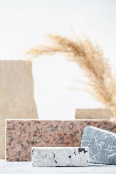 istock Composition of travertine and granite blocks and pampas grass. Abstract modern background. Natural materials. 1339819455