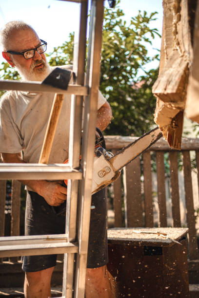 istock Senior artist using chainsaw for making wooden statue 1339819597