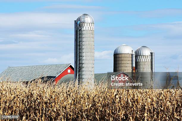 Farm In Fall Stock Photo - Download Image Now - Agriculture, Architectural Dome, Autumn