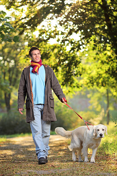 istock Boy and his dog walking in the park 133982100