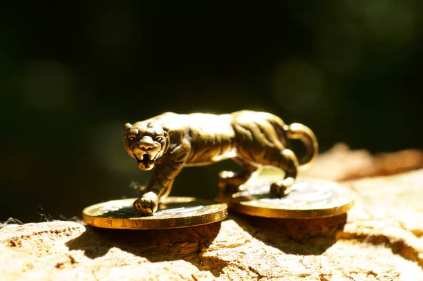 istock A metal tiger and a stack of coins. 1339821205