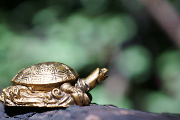 istock A metal turtle on a dark colored background. 1339821965