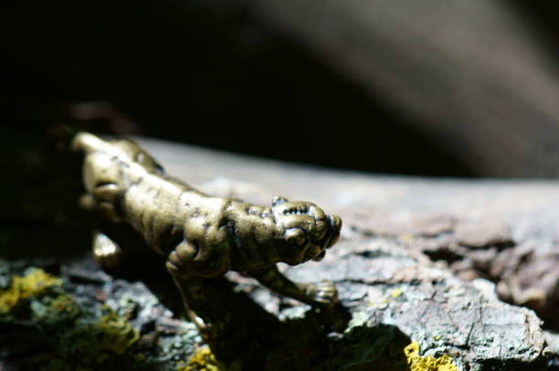istock A tiger figurine on a dark background close-up. 1339822032