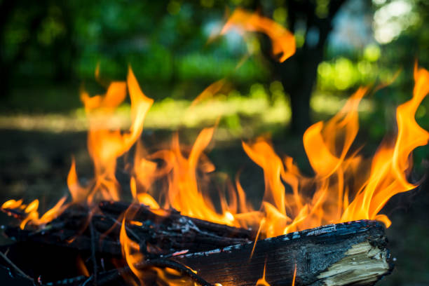 istock Charred wood and fire 1339826662