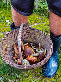 ein-mann-hat-pilze-im-korb.jpg?b=1&s=170x170&k=20&c=J4mPSXQgnfOtxuJPgokZTlLvtP9UXupUuCA7nKm7JsE=
