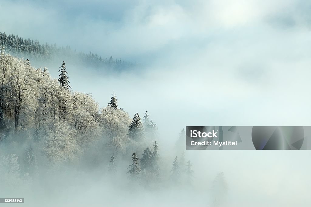 Frosty morning Frosty winter morning on mountains Beskydy Czech republic. Moravia Stock Photo