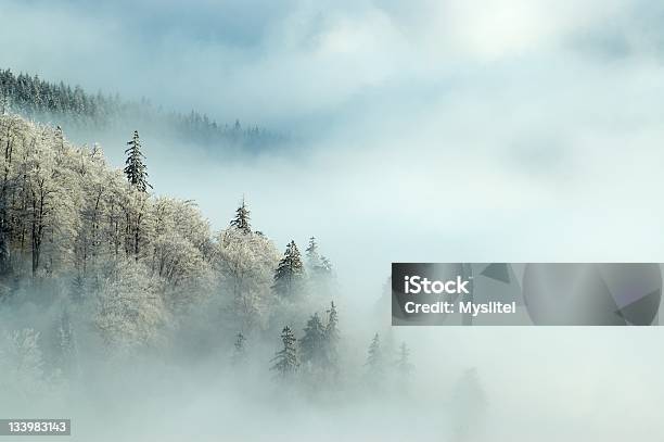 Frosty Morning Stock Photo - Download Image Now - Moravia, North, Snow