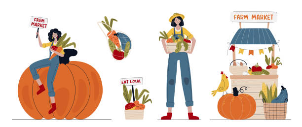 야채와 현대적인 스타일의 농부 여성의 세트. - farm pumpkin autumn farmer stock illustrations