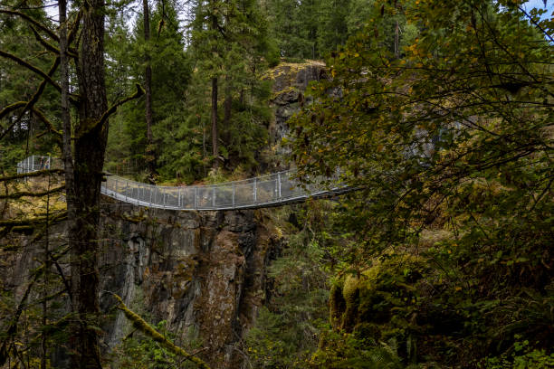 istock Elk falls provincial park 1339835494