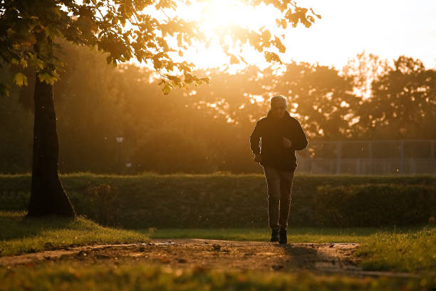 istock Senior man running in park 1339835853