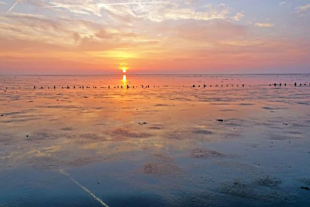 sonnenuntergang am wattenmeer in den niederlanden - ebb tide stock-fotos und bilder