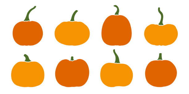 ilustraciones, imágenes clip art, dibujos animados e iconos de stock de conjunto de iconos de pumkin. ilustración vectorial. - calabaza gigante