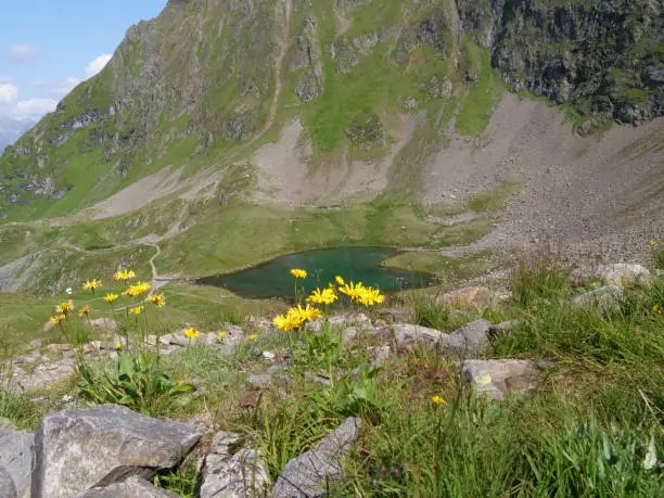 The Herzsee in Montafon is located near the Kreuzjoch and Hochjoch. The shape like a heart gives the name of the lake.