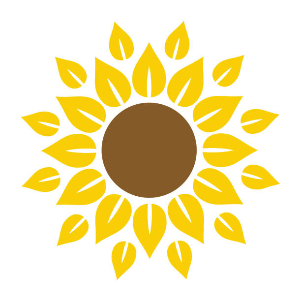 illustrazioni stock, clip art, cartoni animati e icone di tendenza di icona di girasole in stile piatto vettoriale isolato, foglia botanica ecologia modello logo. - sunflower