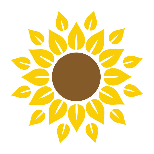 평평한 스타일 벡터 절연, 잎 식물 생태 로고 템플릿의 해바라기 아이콘. - sunflower stock illustrations