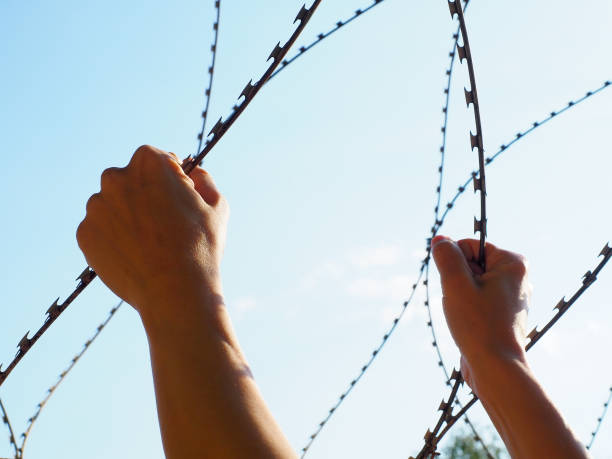 istock Two hands holding a barbed wire against the blue sky 1339840020