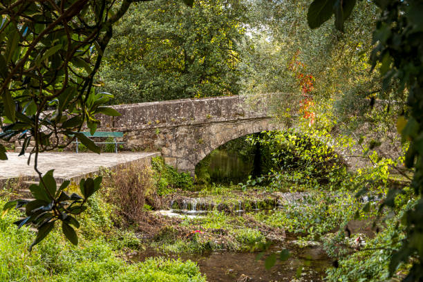istock River Sarela path in Santiago de Compostela 1339841519