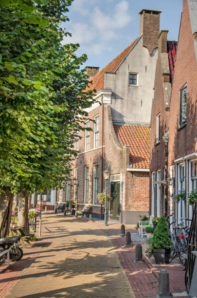 istock Old town houses and trees 1339842506