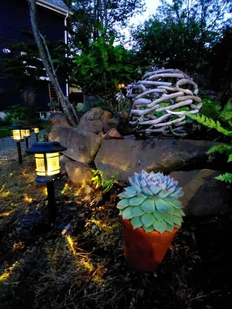 Escheveria surrounded by garden artifacs and solar lights