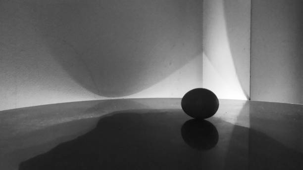 istock Close Up Shot Of An Egg 1339851191