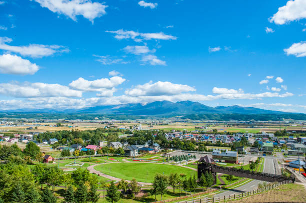 Scenic View of Grassy Field Against Clear Sky.