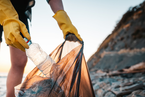 A woman volunteer puts a plastic bottle in a polyethylene bag. Close up of hands. In the background wild beach and ocean. The concept of environmental conservation and clean up of coast.