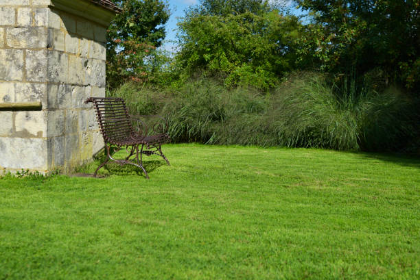 istock Garden and metal bench 1339851450