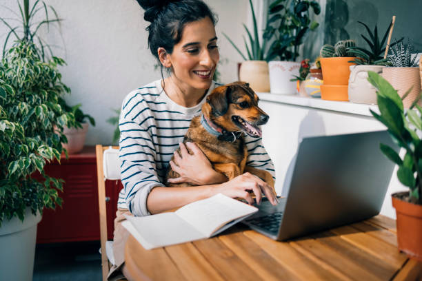 istock Beautiful Smiling Woman Working from Home while her Dog is Sitting on her Lap 1339854932