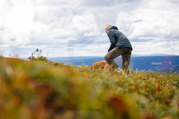 istock Woman picking wild berries on a mountain 1339855120