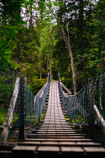 Expansion bridge over a river in the tundra forest. Trysil, Norway.
