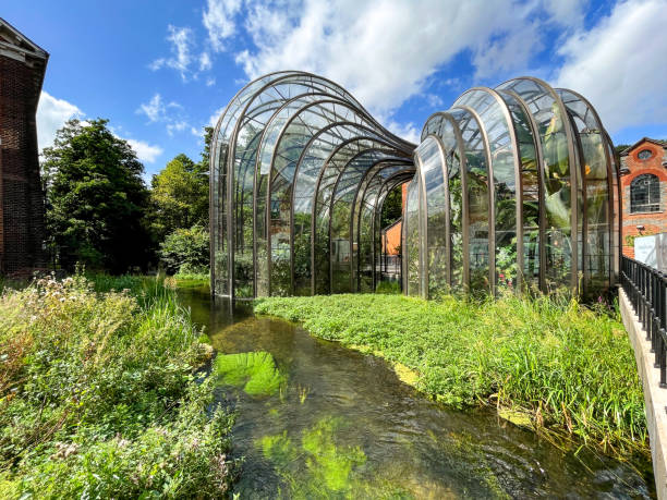 Large glass houses at the Bombay Sapphire gin distillery near Basingstoke Whitchurch, near Basingstoke, Hampshire, England - August 2021: Two large glass houses at the Laverstoke Mill, which houses the distillery for Bombay Sapphire gin. In the foreground is the River Test. basingstoke photos stock pictures, royalty-free photos & images