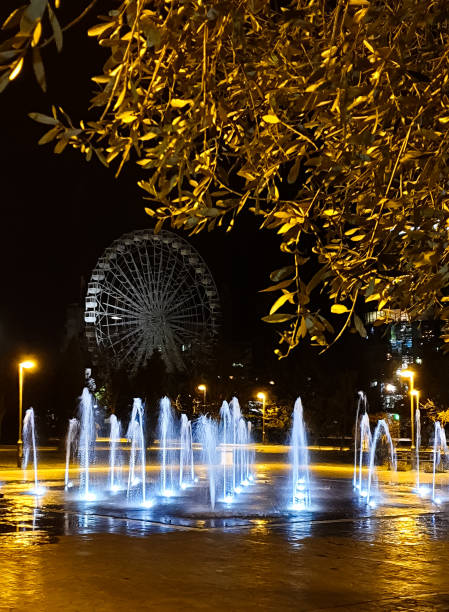 istock Night floor fountain in a park 1339858242