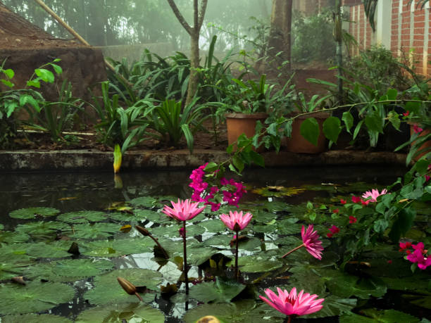 istock Landscapes Maharashtra 1339858331