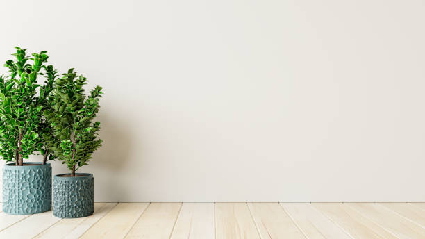 istock Mockup white wall empty interior room with plants on a floor. 1339862963