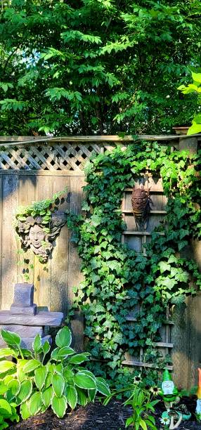 istock Ivy on garden art 1339864047