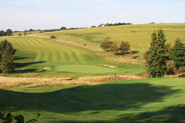 istock Golf Course. Worthing. West Sussex. England 133986652