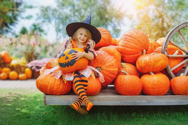 Photo of child girl als little cute witch with pumpkin outdoors in halloween