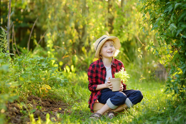 niño pequeño sosteniendo plántulas de ensalada en macetas en el jardín doméstico en el día soleado de verano. actividad de jardinería con un niño pequeño - leaf vegetable salad child spring fotografías e imágenes de stock