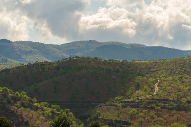 istock mountainous landscape in southern Spain 1339868853