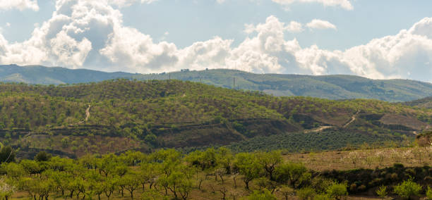 istock mountainous landscape in southern Spain 1339868892