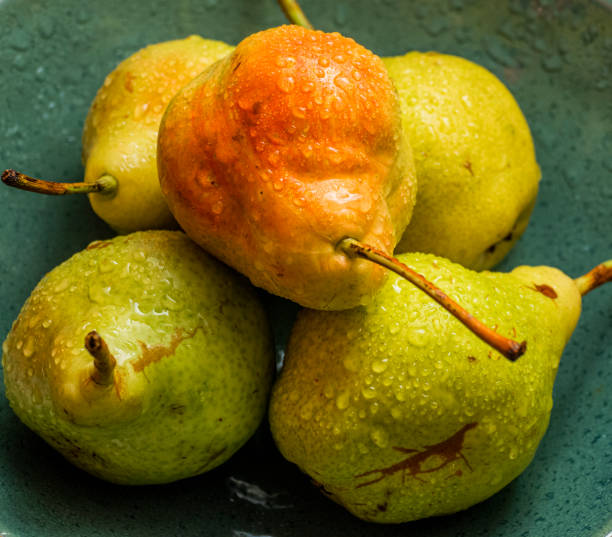 istock Fresh and Sweet Wet Pears Standing in a Bowl 1339871279