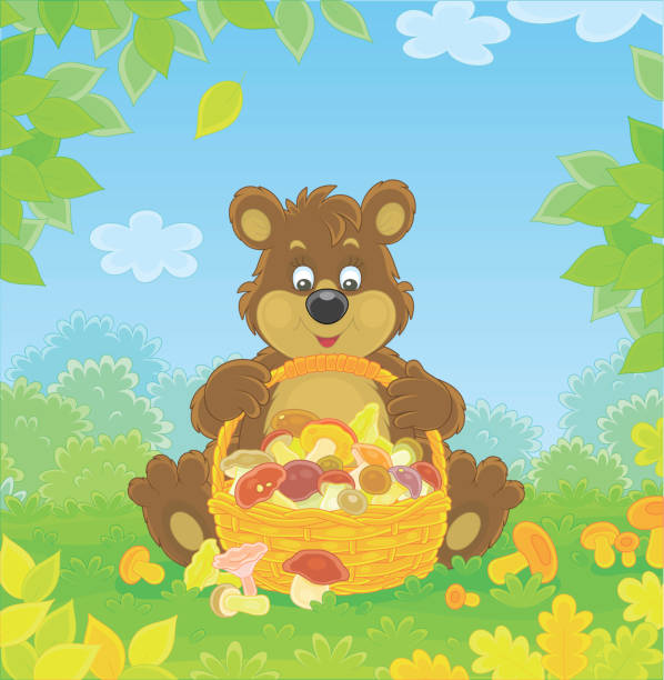 istock Brown bear with a basket of mushrooms 1339875358