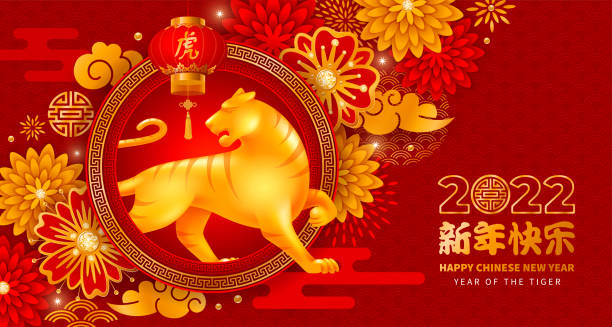 Chinese New Year Of The Tiger Greeting Card Festive greeting card for Chinese New Year 2022 with golden figurine of Tiger, zodiac symbol of year, paper red lantern, bright decorations. Translation Happy New Year, Tiger. Vector illustration. lunar new year stock illustrations