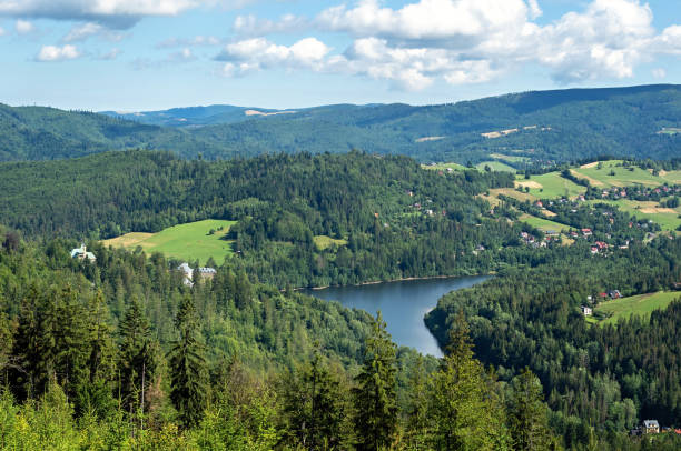 lago czernianskie, il fiume vistola, i beschidi della slesia, polonia - fiume vistola foto e immagini stock