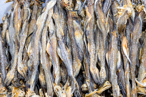 Dried bombay duck sea fish on a bowl close up with selective focus