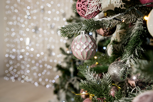 Christmas Decoration. Magenta Balls on Christmas tree branch isolated on white background. Holiday Card